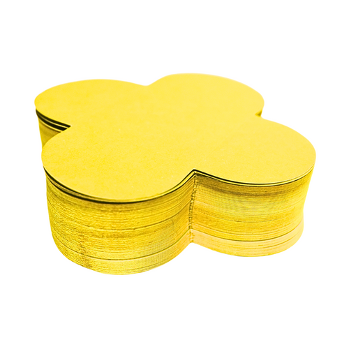 Caixeta Lisa Amarelo - 100 Unidades